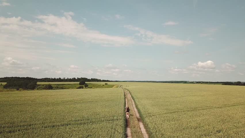 a young hapy woman runs across the field with her dog at noon, top view.Aerial view of field.