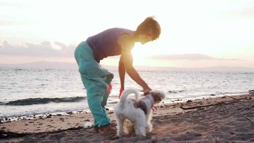 Attractive male playing with his dog on a beach at sunrise | Shutterstock HD Video #1021347889