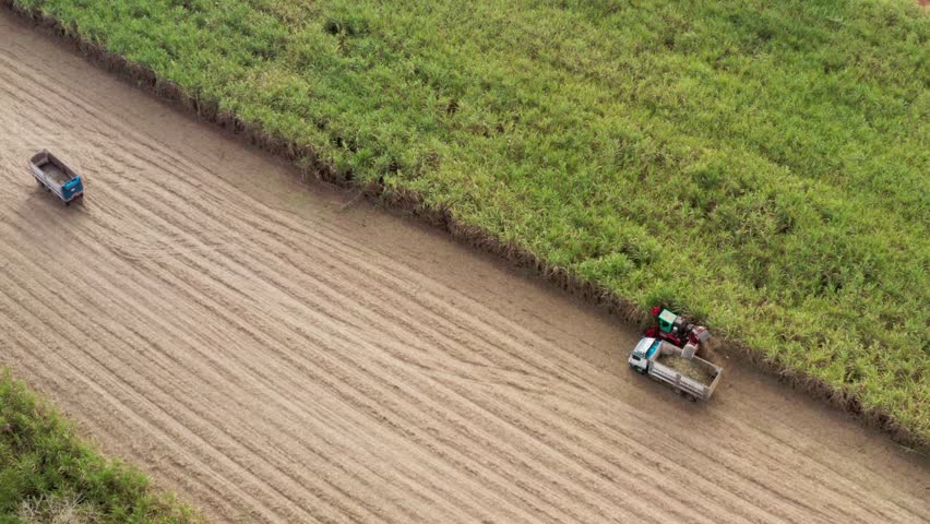 Footage agricultural farmer are using sugarcane cutting vehicles in agricultural areas Asia Thailand 
