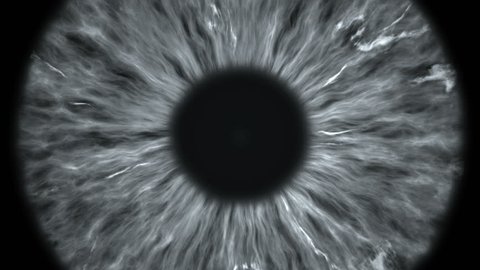 The gray eye is an extreme close-up of the iris and pupil, widening and tapering.