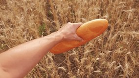 man holds a bread loaf in a wheat field. slow motion video.