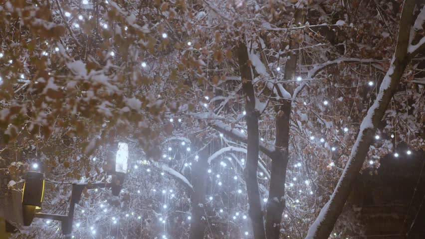Christmas lights hanging from snow covered trees | Shutterstock HD Video #1021409647