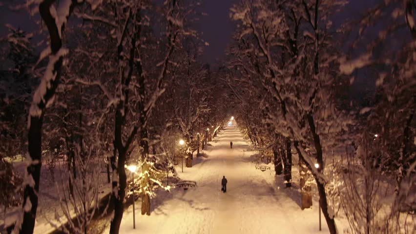 People walking through the park after heavy snow. Aerial urban winter night
