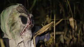 Scary halloween scarecrow in dark cornfield. - Powered by Shutterstock - Get 15% off with code: PIKWIZARD15