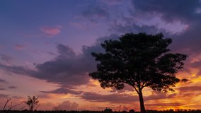 4K time-lapse video, The silhouette of the trees and the evening scenery Beautiful sky.