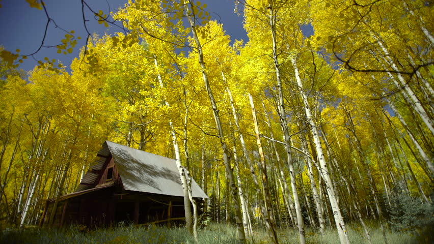 Abandoned House in High Elevation Ghost Town, Peak Foliage, Colorado USA
