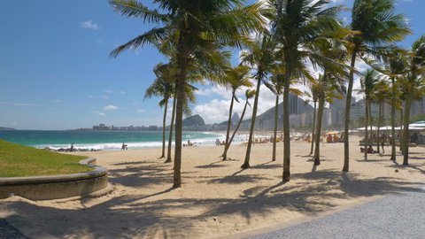 Palms on Copacabana with people relaxing on the beach, Rio de Janeiro