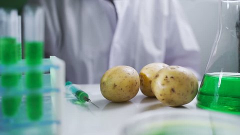Bio scientist in gloves injects green solution or substance in genetically modified potatoes in the laboratory