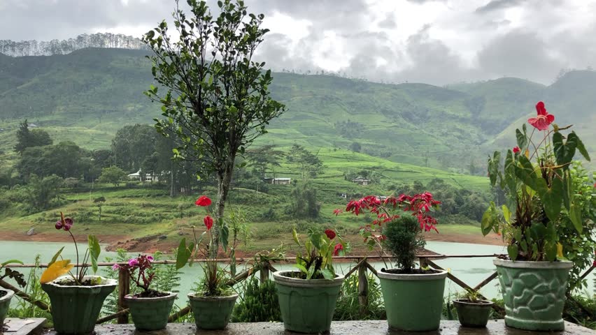 View on the lake and hills covered tea plantations on cloudy and rainy day. Full HD 60 fps.