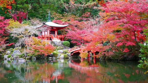 Daigo-ji temple with colorful maple trees in autumn at Kyoto,Japan