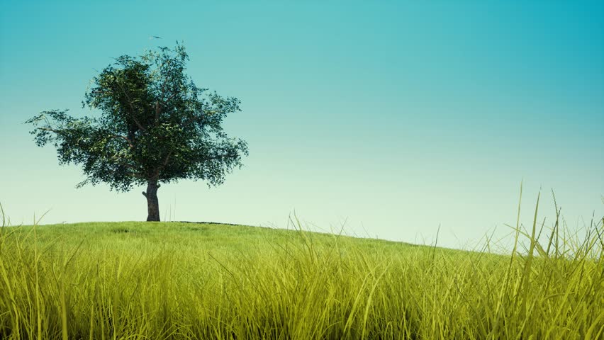 Single tree on clear blue sky Royalty-Free Stock Footage #1021481632