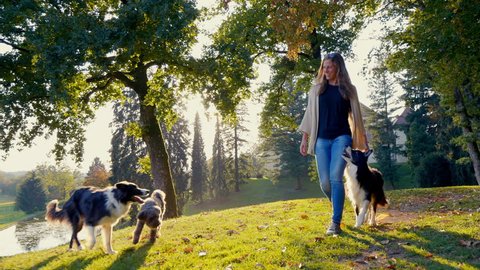 Dogs join a happy young female for a walk through the park in the summer afternoon. Sun is shining through the trees.
