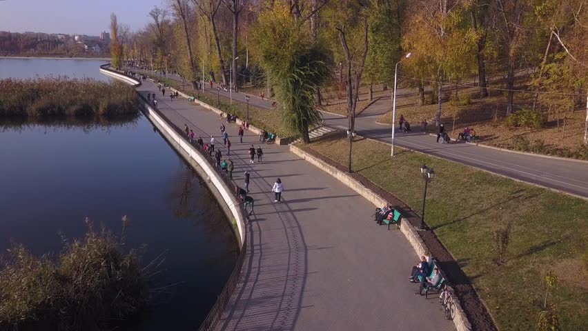 aerial view of beautiful park with lake