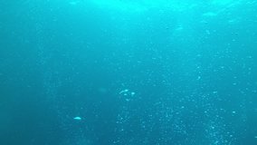 Bubbles underwater video 