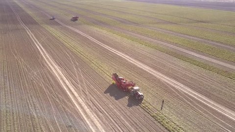 flight around modern powerful potato harvester on field with ground tracks on hot sunny autumn day