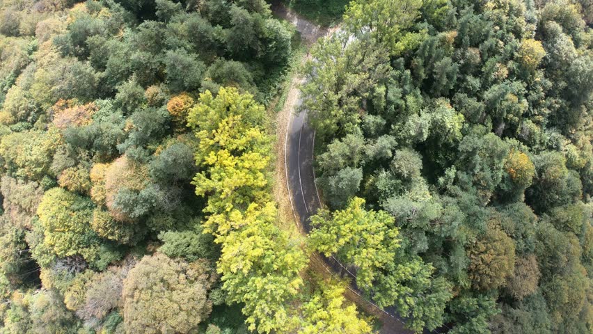 Sabaduri Mountain. Autumn forest. Georgia