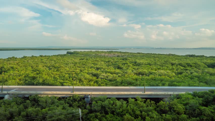 Timelapse in La Boquilla just outside Cartagena, Colombia ObservingThe Tesca Swamp & Sunny Sky