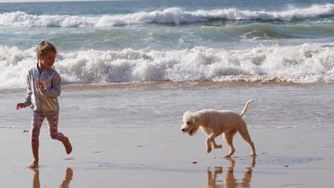 Happy childhood - little girl play run with white pet dog on ocean beach shallow water in Portugal
