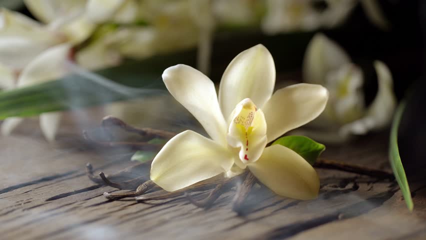 Vanilla flower, together with vanilla sticks, emit a “fragrance” in the form of smoke. Located on an old wooden board, behind - vanilla orchid. | Shutterstock HD Video #1021563358