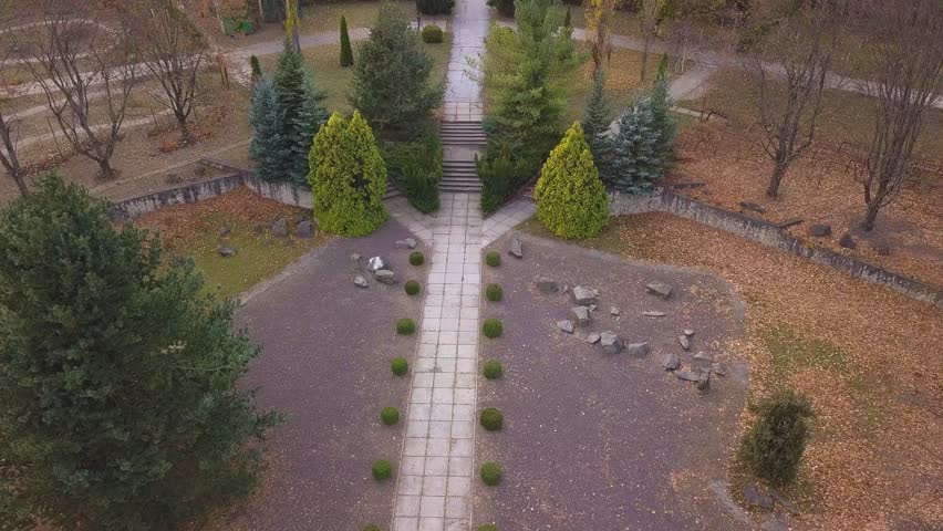 A flight over the autumn park