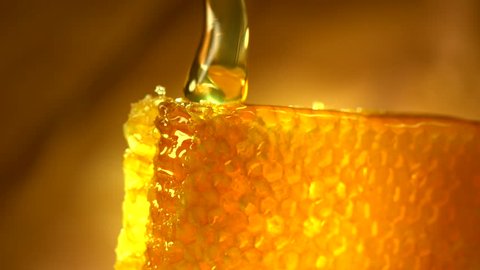 Honey dripping from honey dipper on honeycomb, over yellow background. Thick organic honey dipping from the wooden honey spoon. 
