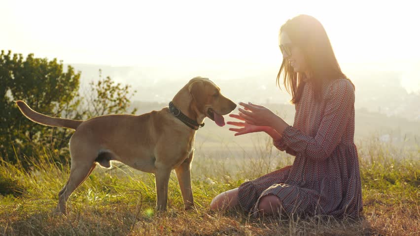 Adorable young woman playing with dog on the nature during amazing sunset.