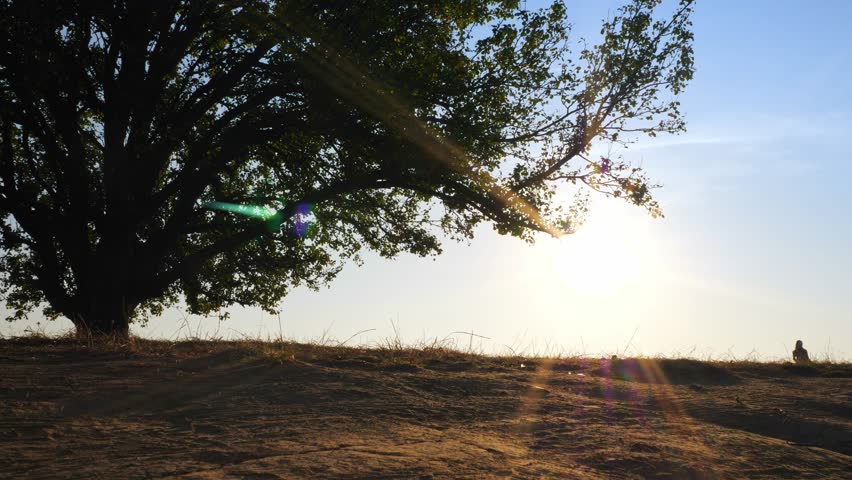 Silhouettes of adorable woman playing running with her cute dog during sunset