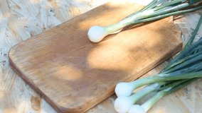 Female hands slicing green onions with knife