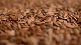 Slow motion many flax seeds rotating background. food video