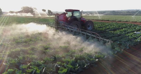 AFRICA,SOUTH AFRICA,CIRCA 2018,Spectacular 4K blacklit close-up aerial fly over view directly behind a tractor spraying large scale farming vegetable crops with pesticide