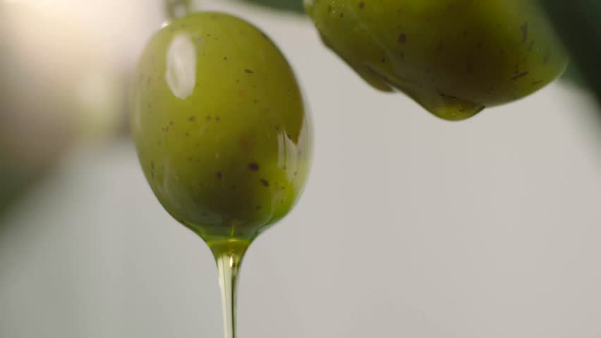Olive oil is dropping down from olive. Close-up green olive.  | Shutterstock HD Video #1021634326