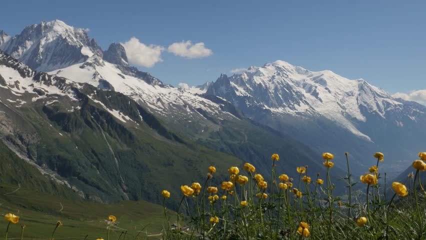 View of the Mont Blanc, with the Drus and the Aiguille Verte peaks over the Chamonix valley with buttercup flowers in the forefront. Royalty-Free Stock Footage #1021644598