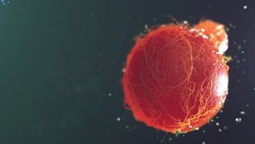 body cells. viruses . animation 3d visualization - Powered by Shutterstock - Get 15% off with code: PIKWIZARD15