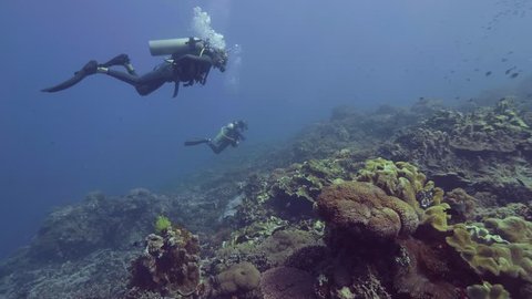 Scuba diver diving underwater blue sea over beautiful coral reef and fish. Divers swimming underwater ocean and watching fish, animal and coral reef. Underwater world and sea nature.
