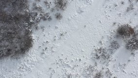 High above snowy hill in the woods 4K drone footage
