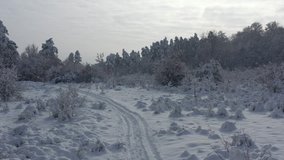 Morning in the snowed forest 4K aerial footage