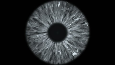 The gray eye is an extreme close-up of the iris and pupil, widening and tapering.