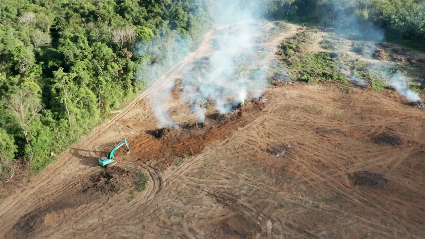 Deforestation in the rainforest:- aerial view of tropical rainforest being cleared and burnt to make space for palm oil, rubber and other plantations Royalty-Free Stock Footage #1021686208