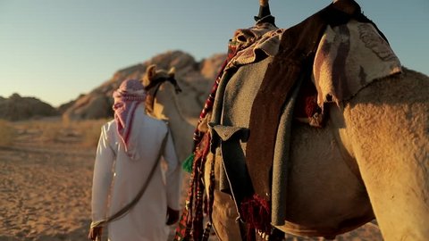 Bedouin man walking with his camels at sunset in the Jordan Wadi Rum Desert.