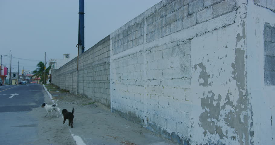 Small community in Boca Del Rio, Mexico.