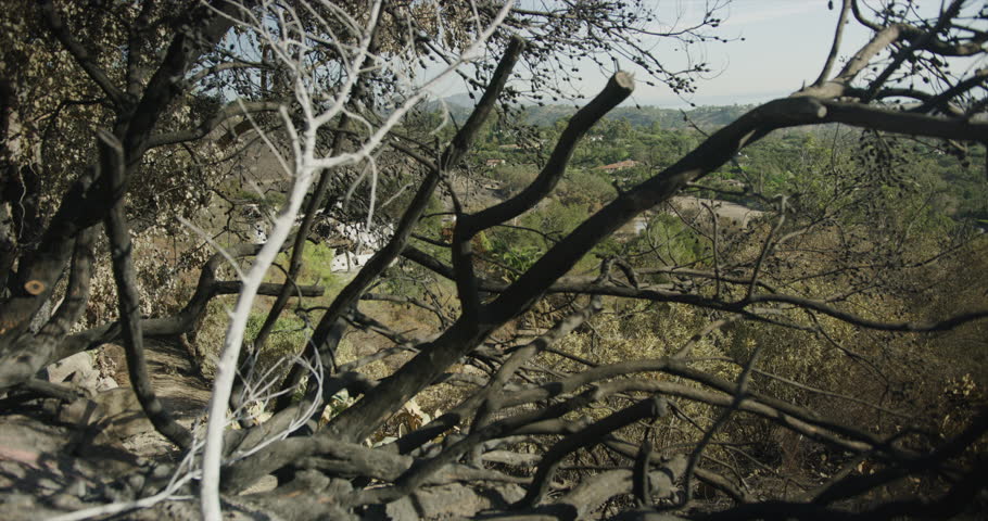 Gimbal shot of fire damage caused by Thomas Fire in Montecito hills Dec 2017. Santa Barbara county, California