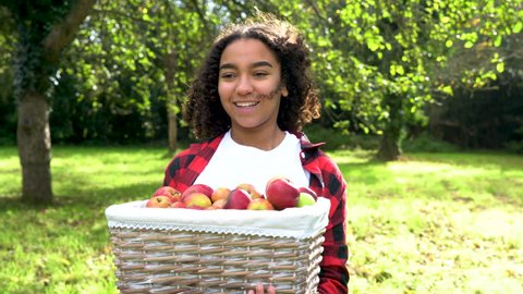 Biracial African American mixed race teenage girl young woman carrying basket of apples through a sunny apple orchard putting them on a gray tractor and eating an apple