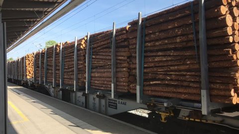 Rostock, Germany - June 9, 2018: Train cars full of cut logs rolls through a outdoor train station in Germany on this date