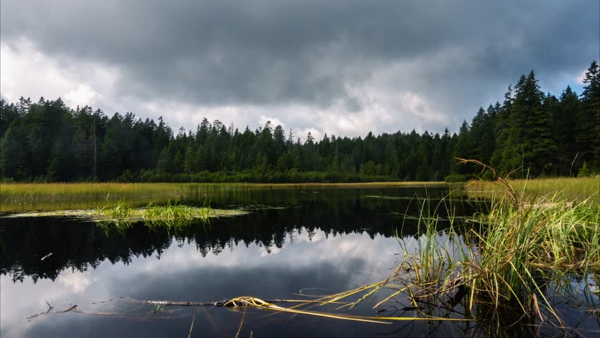 Time lapse - Black lake and marshes, forest in background, Crno jezero on Pohorje mountain, Slovenia, a natural habitat and popular travel and hiking destination, dramatic clouds reflected in water