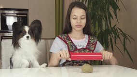 Teen girl and dog Papillon prepare cookies, rolling dough with a rolling pin stock footage video
