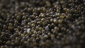 Black Caviar rotated background. High quality real natural sturgeon black caviar close-up, rotation. Delicatessen. Texture of expensive luxury caviar. Backdrop. Seafood. 4K UHD video