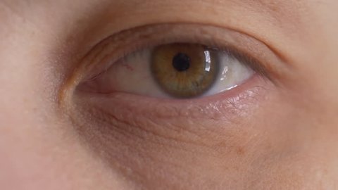 Human eye close up. Eyebrows, eyelashes, eyeball, pupil. Green-yellow color. Shallow focus, blur. Woman, 35 years old