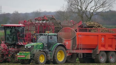 Farming, England - December 2018. Sugar Beet Harvesting in Slow Motion, Suffolk, England United Kingdom
