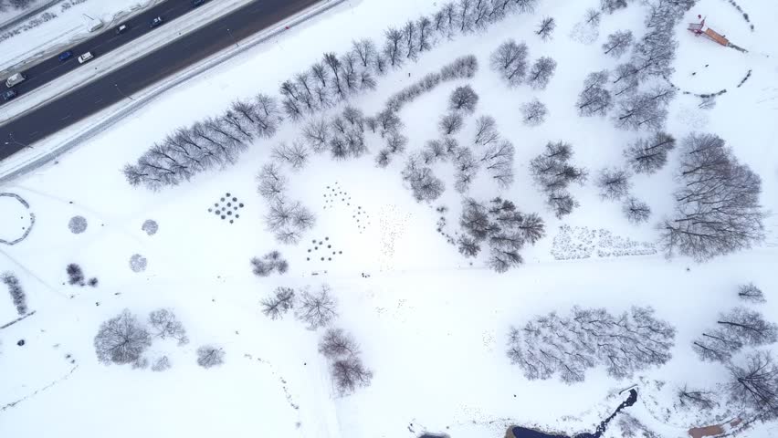 Top-down aerial shot of winter park, camera move down, approach land. Sparse trees and bushes, white snow lie all around. Pack of birds stay at open space in middle