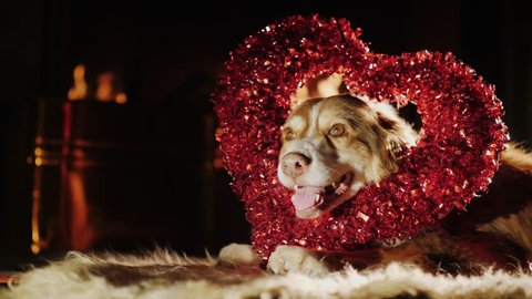 Cute dog in a red heart ornament for Valentine's Day